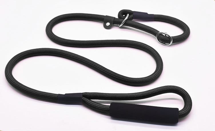 Dog Lead - Image 5
