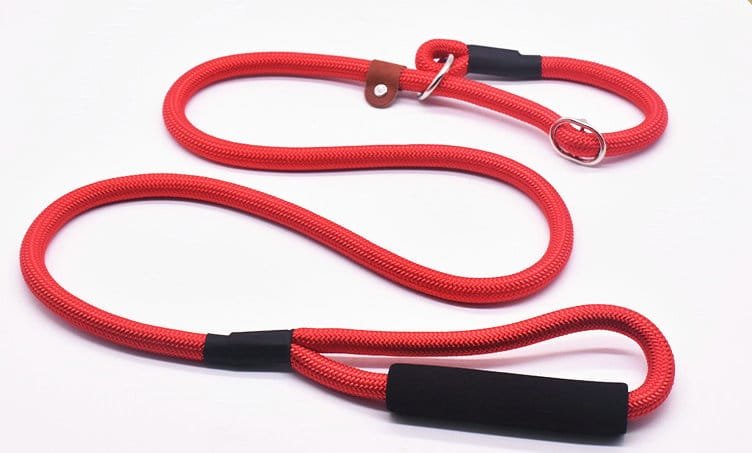 Dog Lead - Image 6
