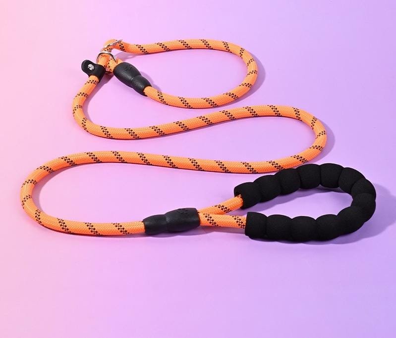 Dog Lead - Image 2
