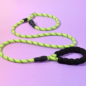 Dog Lead