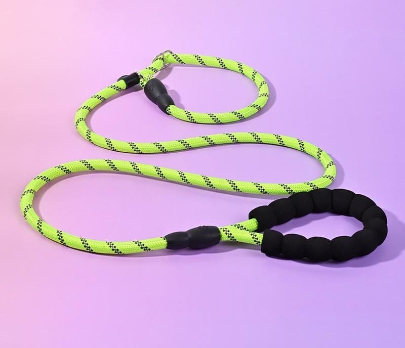 Dog Lead