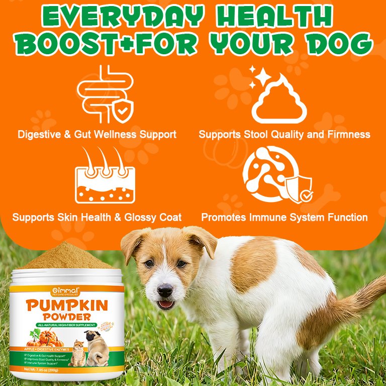 Pumpkin Powder - Image 4